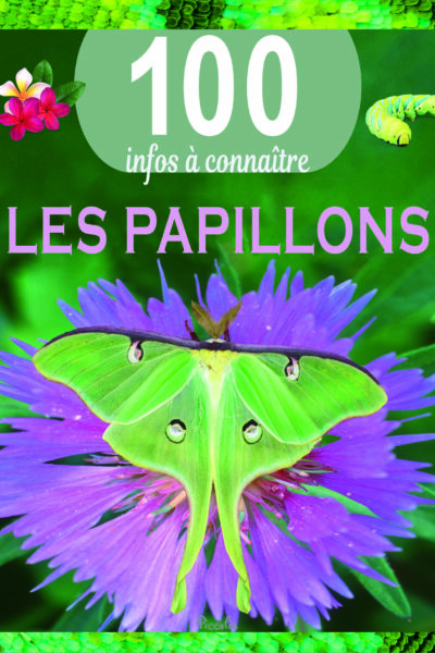 LES PAPILLONS - 100 INFOS A CONNAITRE