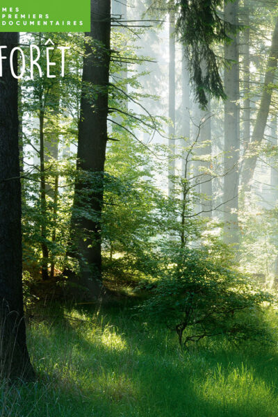 LA FORET