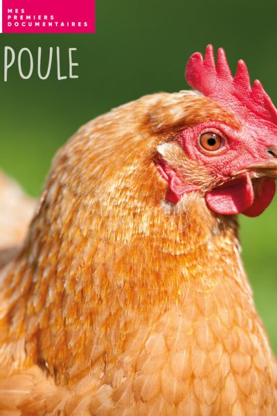LA POULE