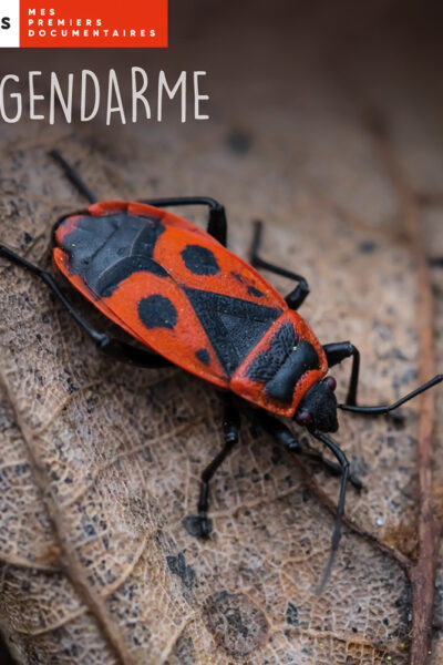 LE GENDARME
