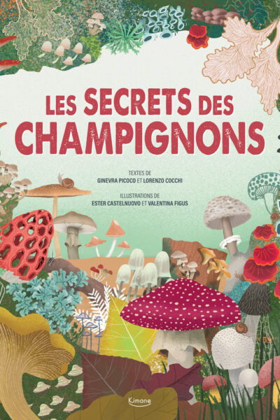 LE SECRET DES CHAMPIGNONS
