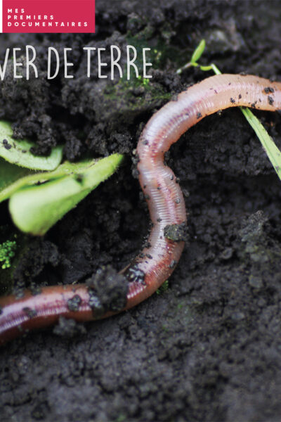 LE VER DE TERRE - MES PREMIERS DOCUMENTAIRES