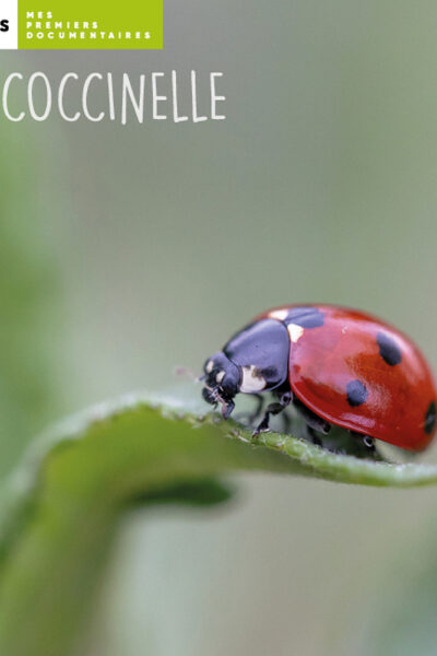 LA COCCINELLE