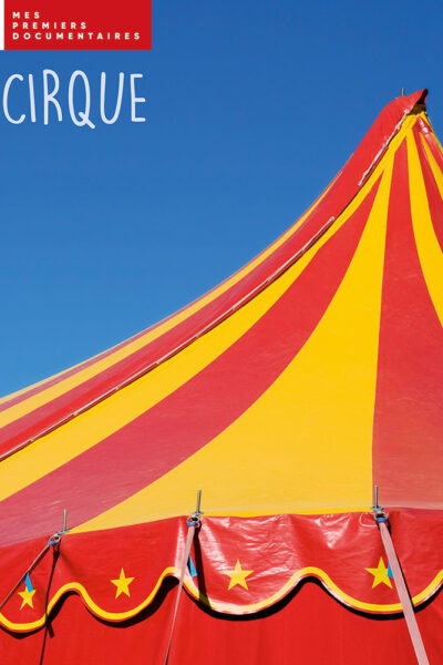 LE CIRQUE