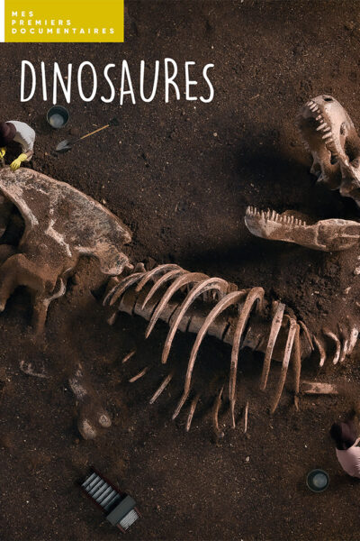 LES DINOSAURES - MES PREMIERS DOCUMENTAIRES