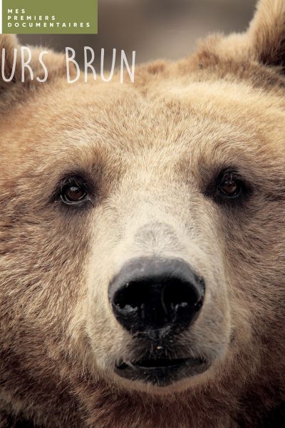 L'OURS BRUN - MES PREMIERS DOCUMENTAIRES