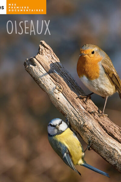 LES OISEAUX