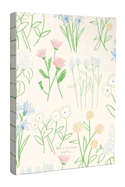 GRAND CAHIER FLEURS, DE ZOE DE LAS CASES