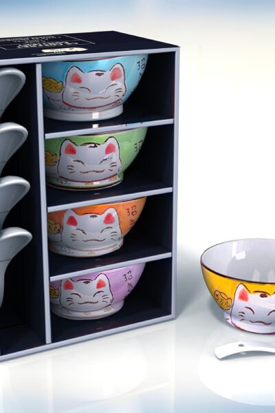 COFFRET SOUPES JAPONAISES : SUCCOMBEZ AUX SAVEURS D'ASIE