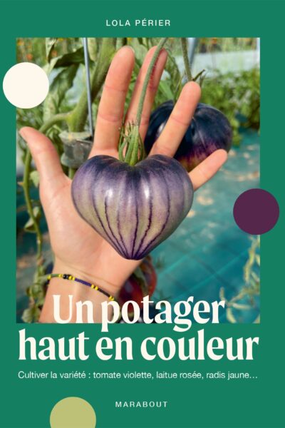 UN POTAGER HAUT EN COULEUR - CULTIVER LA VARIETE : TOMATE VIOLETTE, LAITUE ROSEE, RADIS JAUNE