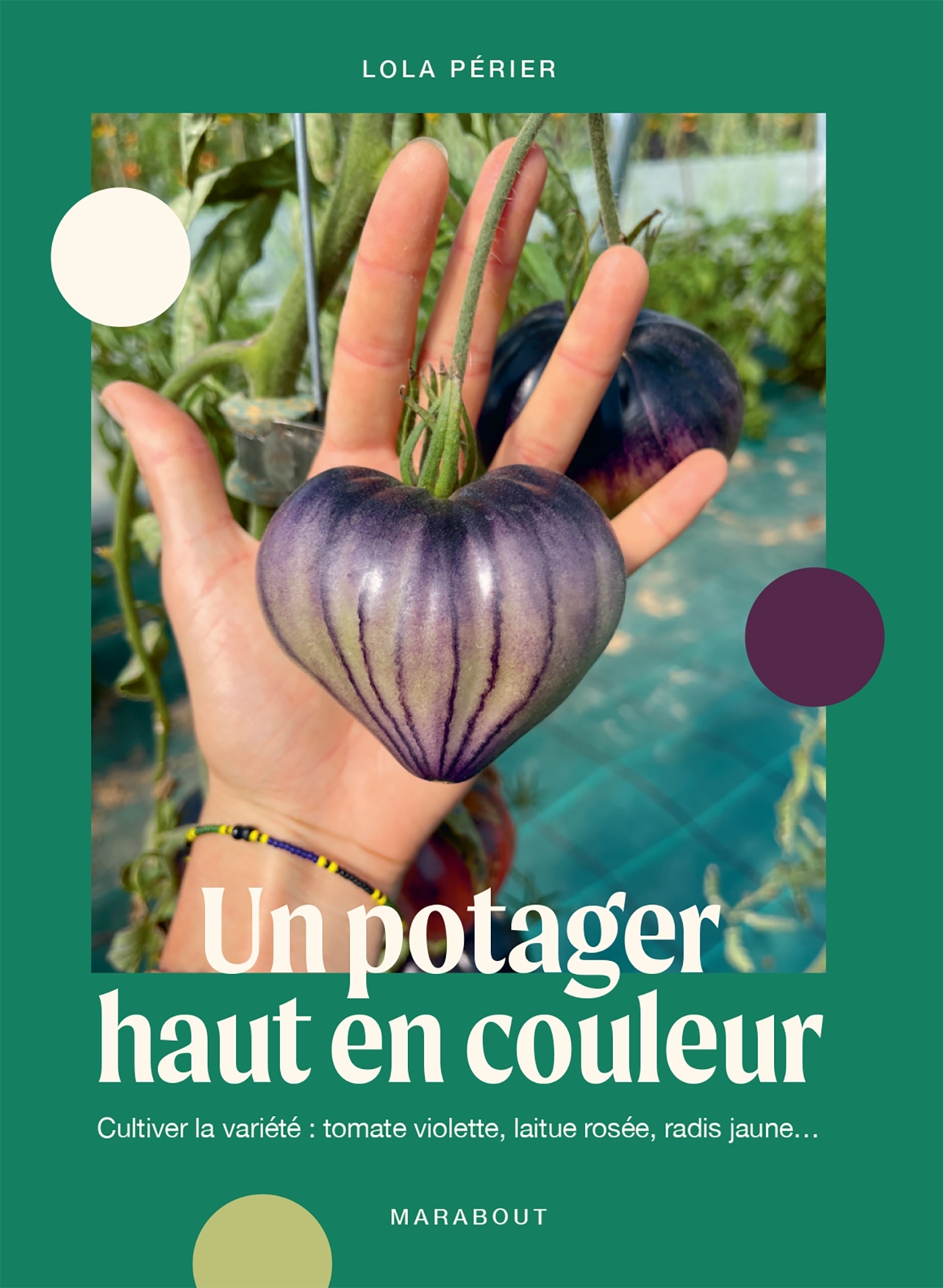 UN POTAGER HAUT EN COULEUR - CULTIVER LA VARIETE : TOMATE VIOLETTE, LAITUE ROSEE, RADIS JAUNE