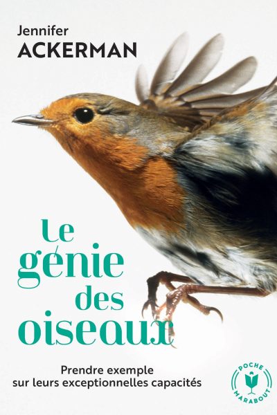 LE GENIE DES OISEAUX