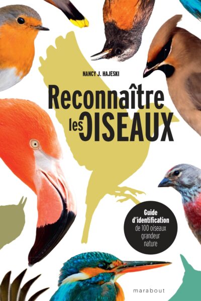 RECONNAITRE LES OISEAUX - GUIDE D IDENTIFICATION DE 100 OISEAUX GRANDEUR NATURE