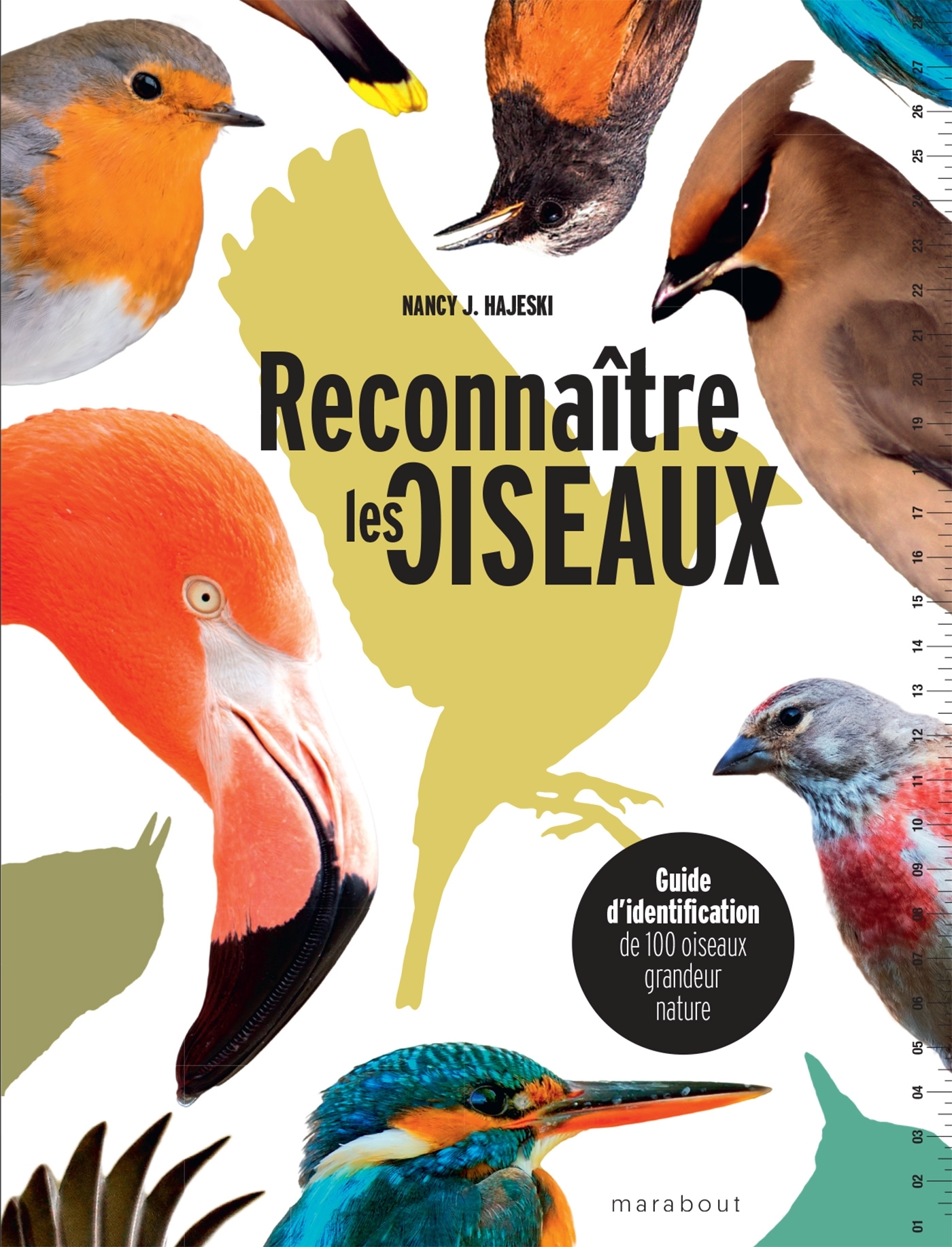 RECONNAITRE LES OISEAUX - GUIDE D IDENTIFICATION DE 100 OISEAUX GRANDEUR NATURE