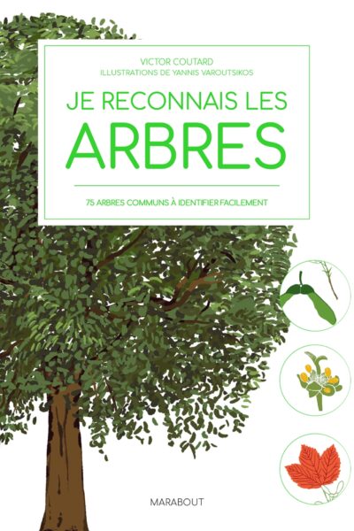 JE RECONNAIS LES ARBRES - 75 ARBRES COMMUNS A IDENTIFIER FACILEMENT