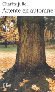 ATTENTE EN AUTOMNE 3561