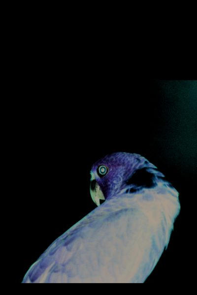 TROIS CONTES        3245