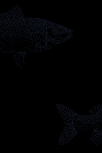 INSTRUCTIONS AU CUISINIER ZEN / PROPOS DE CUISINIERS