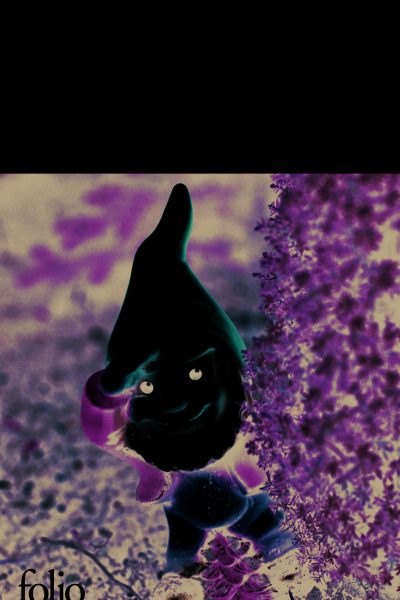 LE POTAGER DES MALFAITEURS AYANT ECHAPPE A LA PENDAISON