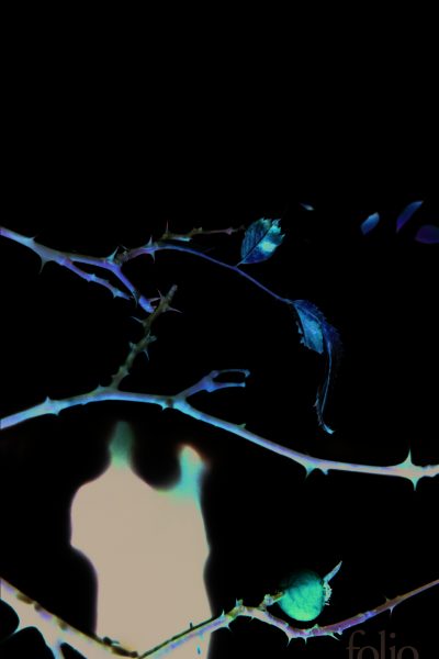 SILENCE EN OCTOBRE   5283