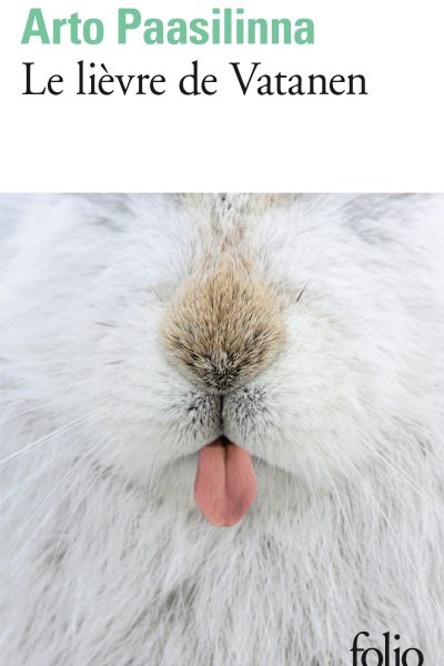 LE LIEVRE DE VATANEN