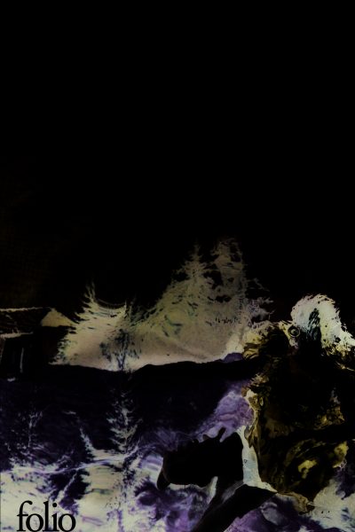 L ABSENCE D OISEAUX D EAU  5272