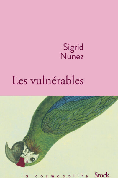 LES VULNERABLES