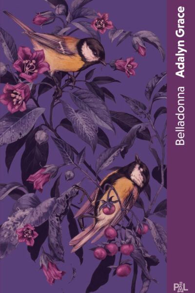 BELLADONNA (POCHE BROCHE) - T01