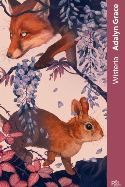 BELLADONA T03 WISTERIA