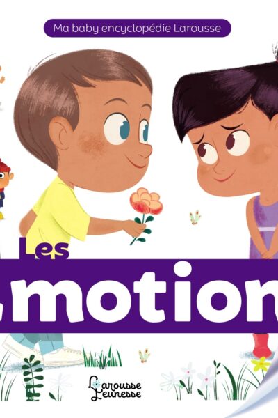 LES EMOTIONS