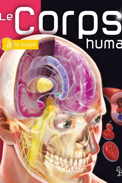 LE CORPS HUMAIN