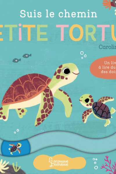 SUIS LE CHEMIN PETITE TORTUE