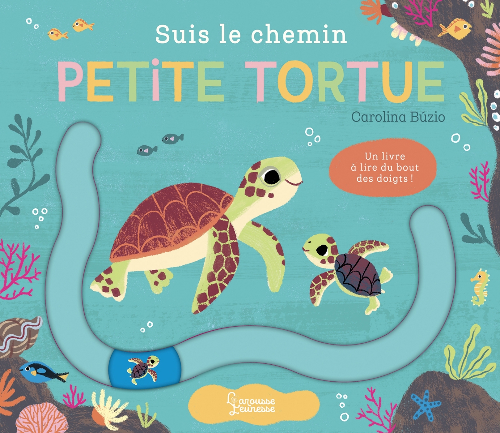 SUIS LE CHEMIN PETITE TORTUE