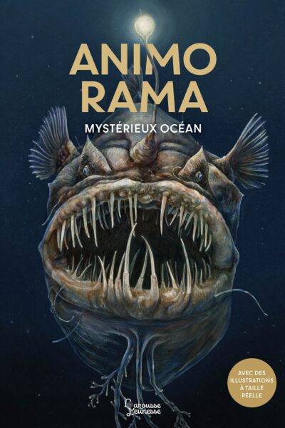 ANIMO RAMA : MYSTERIEUX OCEAN