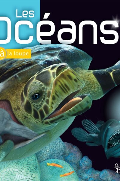 LES OCEANS COLL. A LA LOUPE