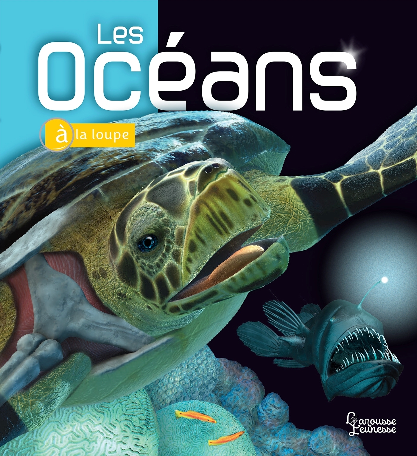LES OCEANS COLL. A LA LOUPE