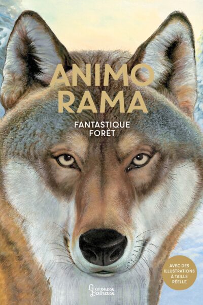 ANIMO RAMA - FANTASTIQUE FORÊT
