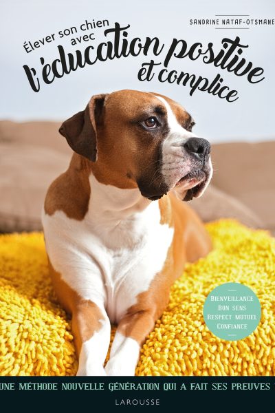 ELEVER SON CHIEN AVEC L'EDUCATION POSITIVE ET COMPLICE