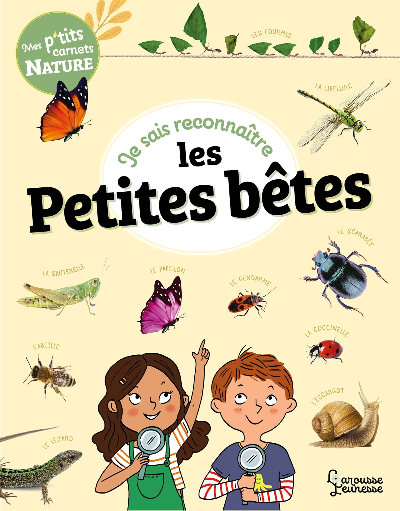 JE SAIS RECONNAÎTRE LES PETITES BÊTES - MON CARNET NATURE
