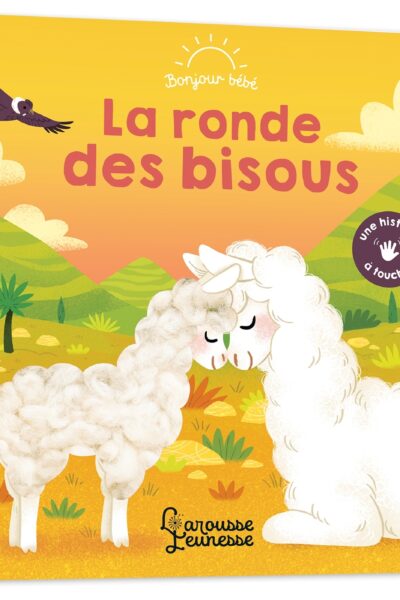 LA RONDE DES BISOUS - BONJOUR BEBE