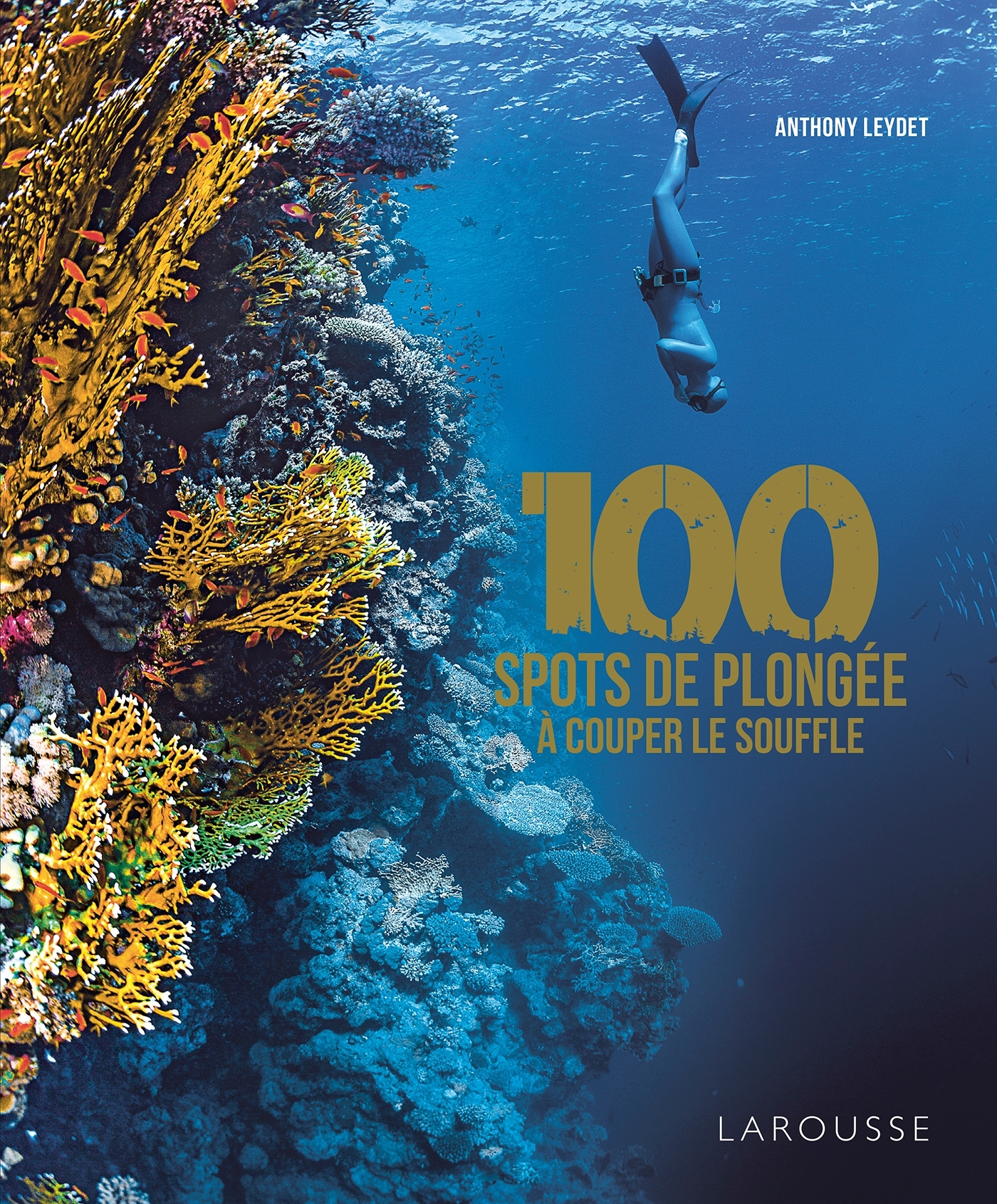 100 SPOTS DE PLONGEE A COUPER LE SOUFFLE