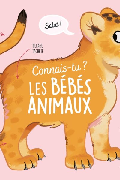 CONNAIS-TU ? LES BEBES ANIMAUX