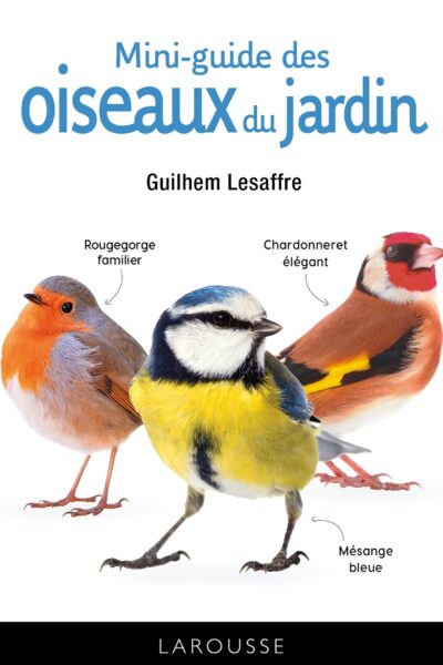 MINI-GUIDE DES OISEAUX DU JARDIN