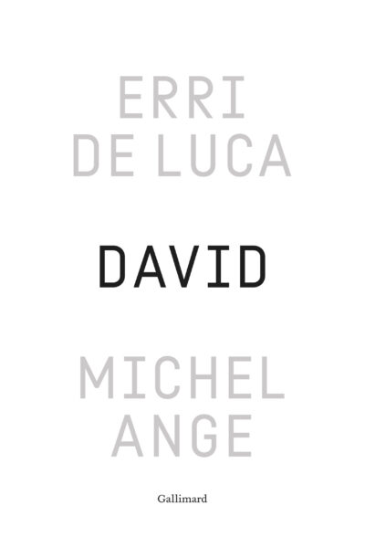 DAVID, MICHEL-ANGE - UNE ENQUÊTE SUR UNE DISPROPORTION