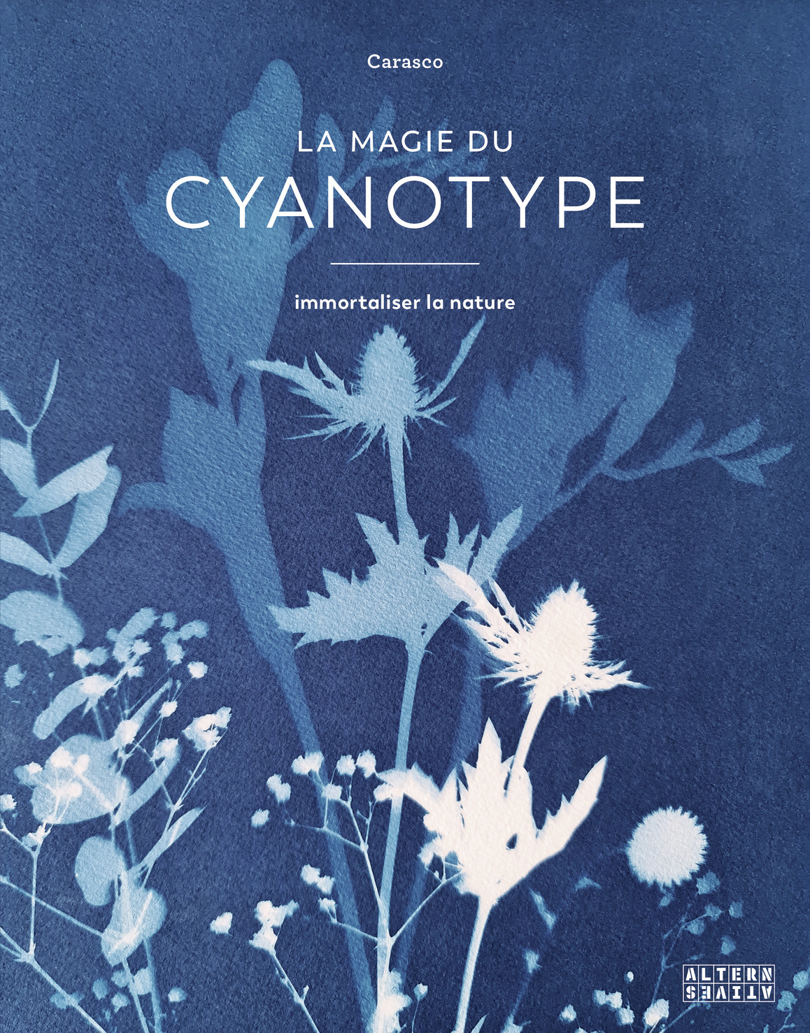 LA MAGIE DU CYANOTYPE