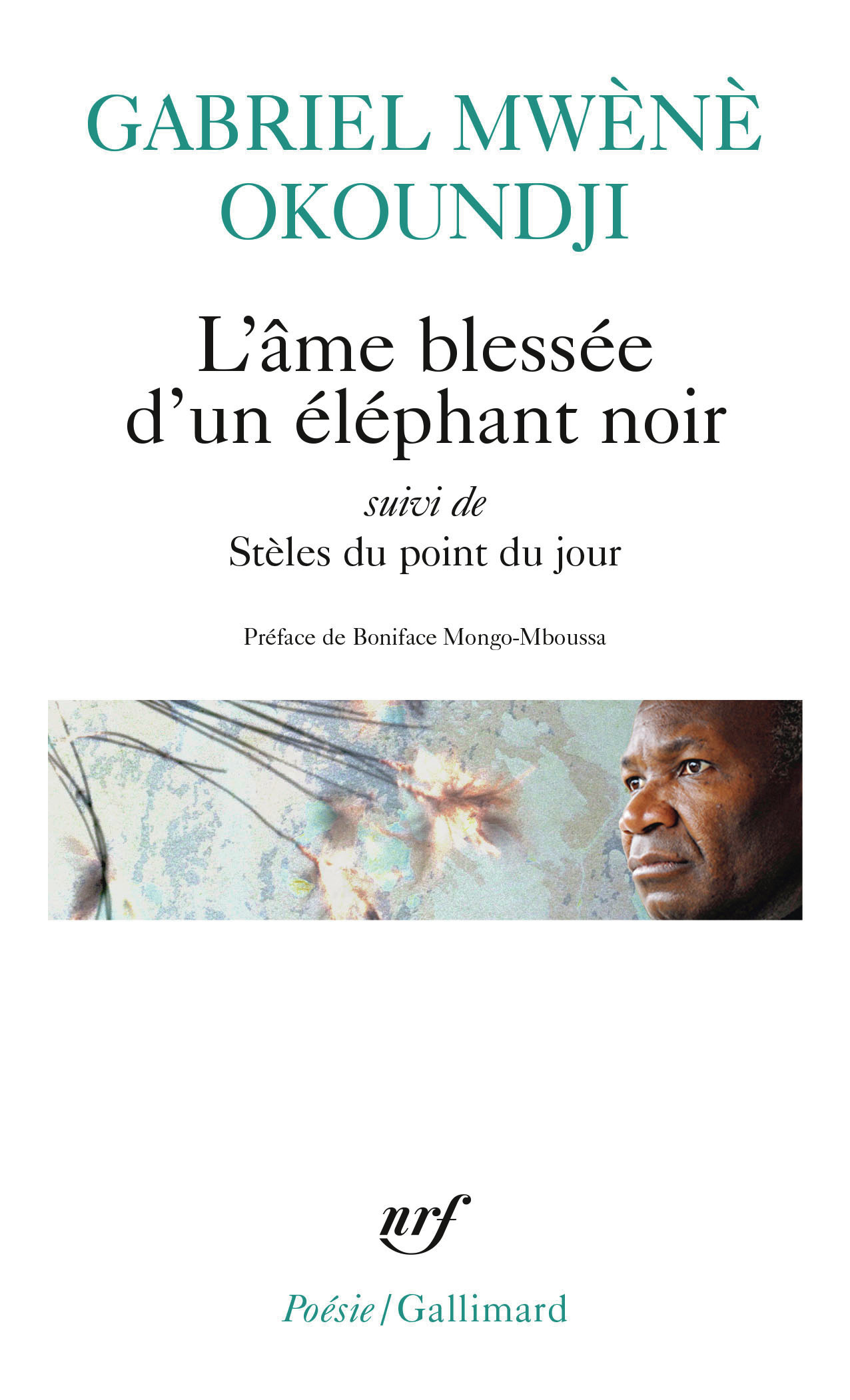L'AME BLESSEE D'UN ELEPHANT NOIR