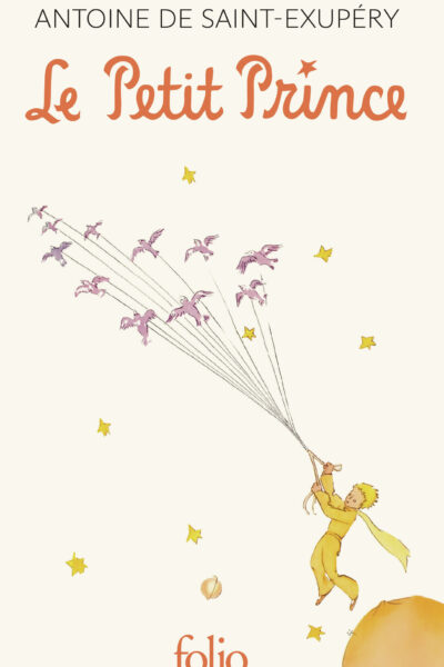 LE PETIT PRINCE