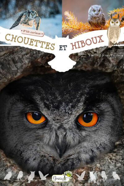 CHOUETTES ET HIBOUX