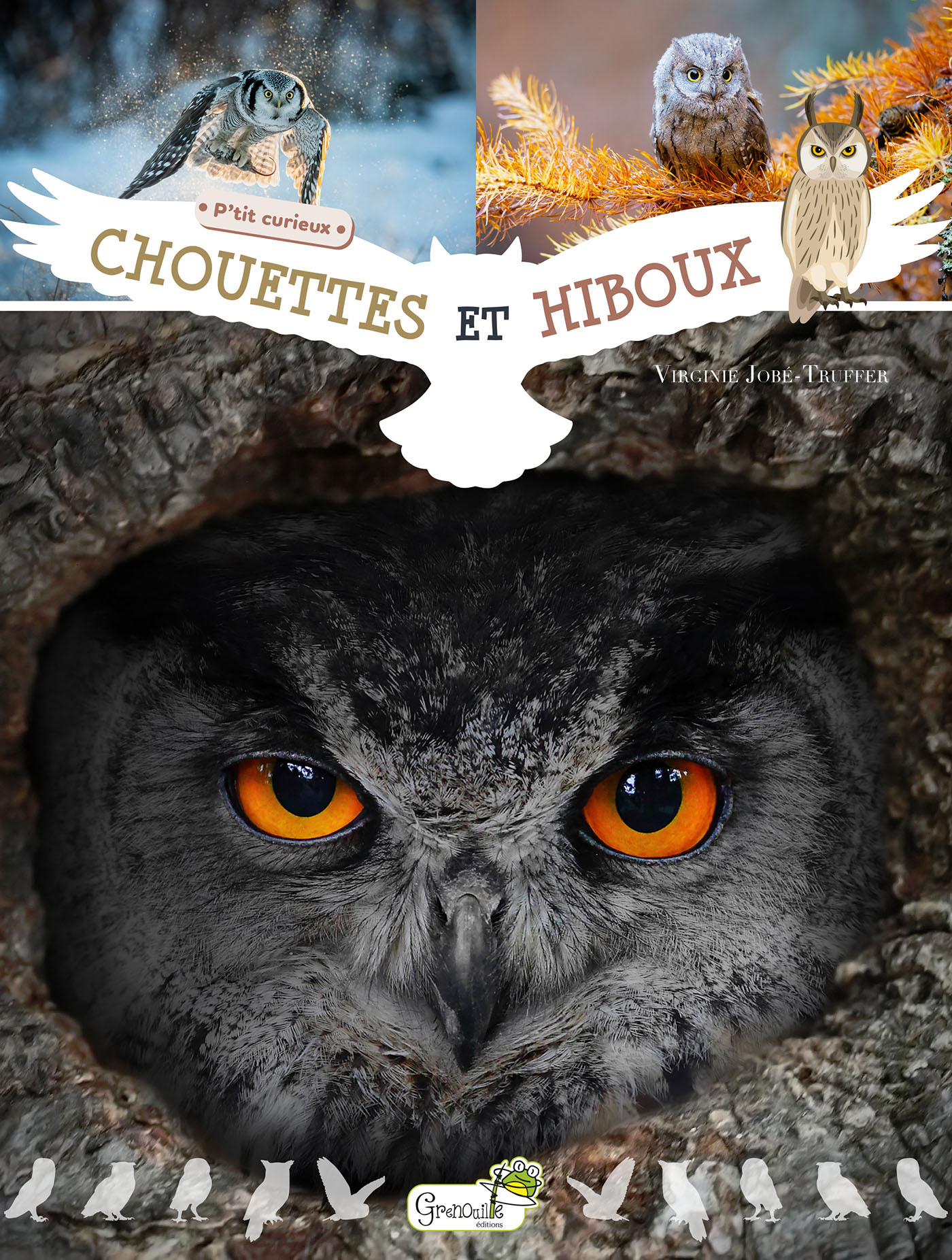 CHOUETTES ET HIBOUX