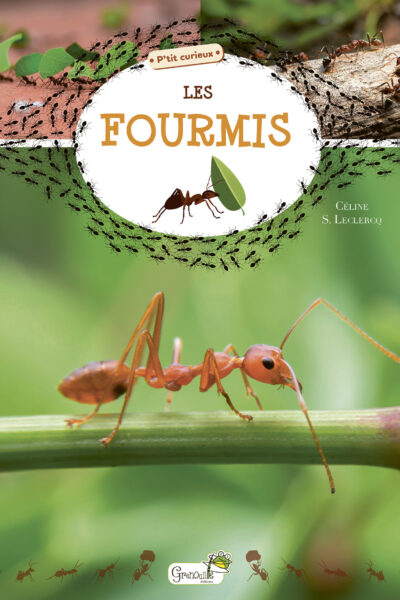 LES FOURMIS